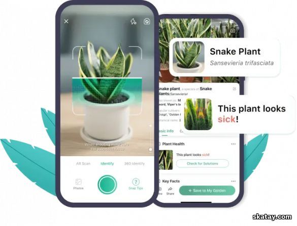 PictureThis растения признать / PictureThis - Plant Identification v5.4.0 [Android]
