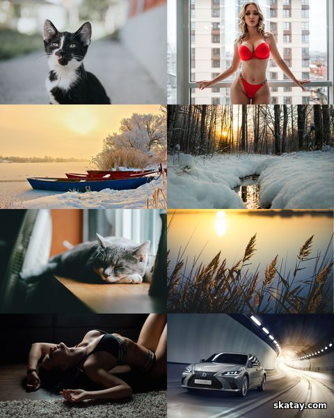 Wallpapers Mix №1924
