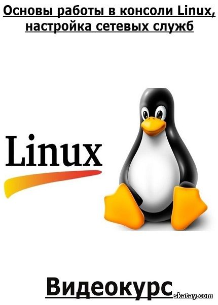 Основы работы в консоли Linux, настройка сетевых служб (2024) /Видеокурс/