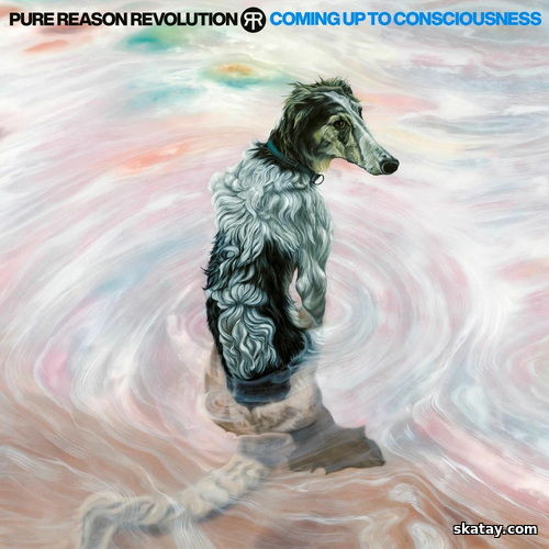 Pure Reason Revolution - Coming Up To Consciousness (Deluxe Edition) (2024/2025) FLAC