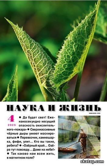 Наука и жизнь №04