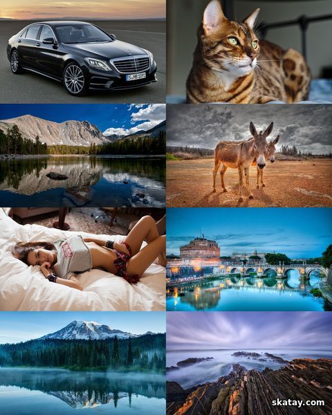 Wallpapers Mix №1930