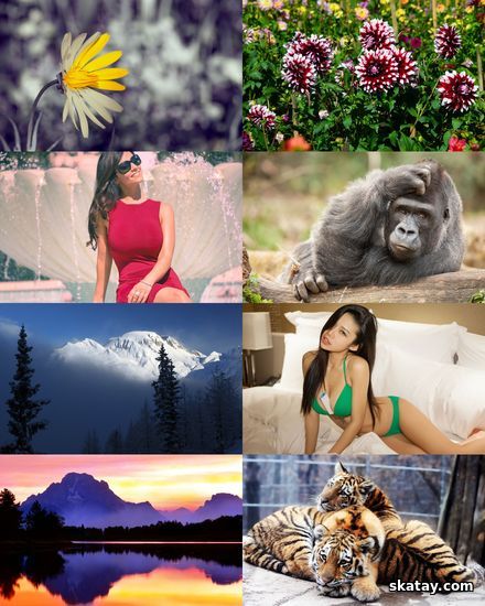 Wallpapers Mix №1932
